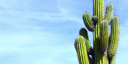 Çizilme Dayanımlı Camlar